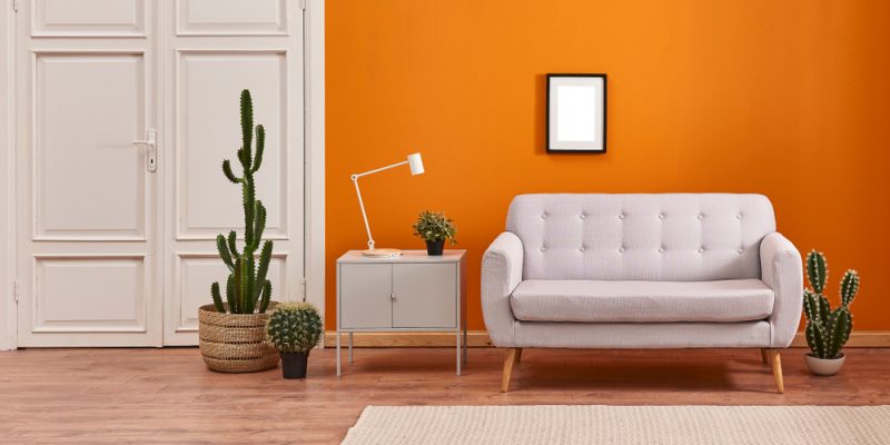 Orange,Living,Room,And,Orange,Wall,Background,Light,Grey,Sofa